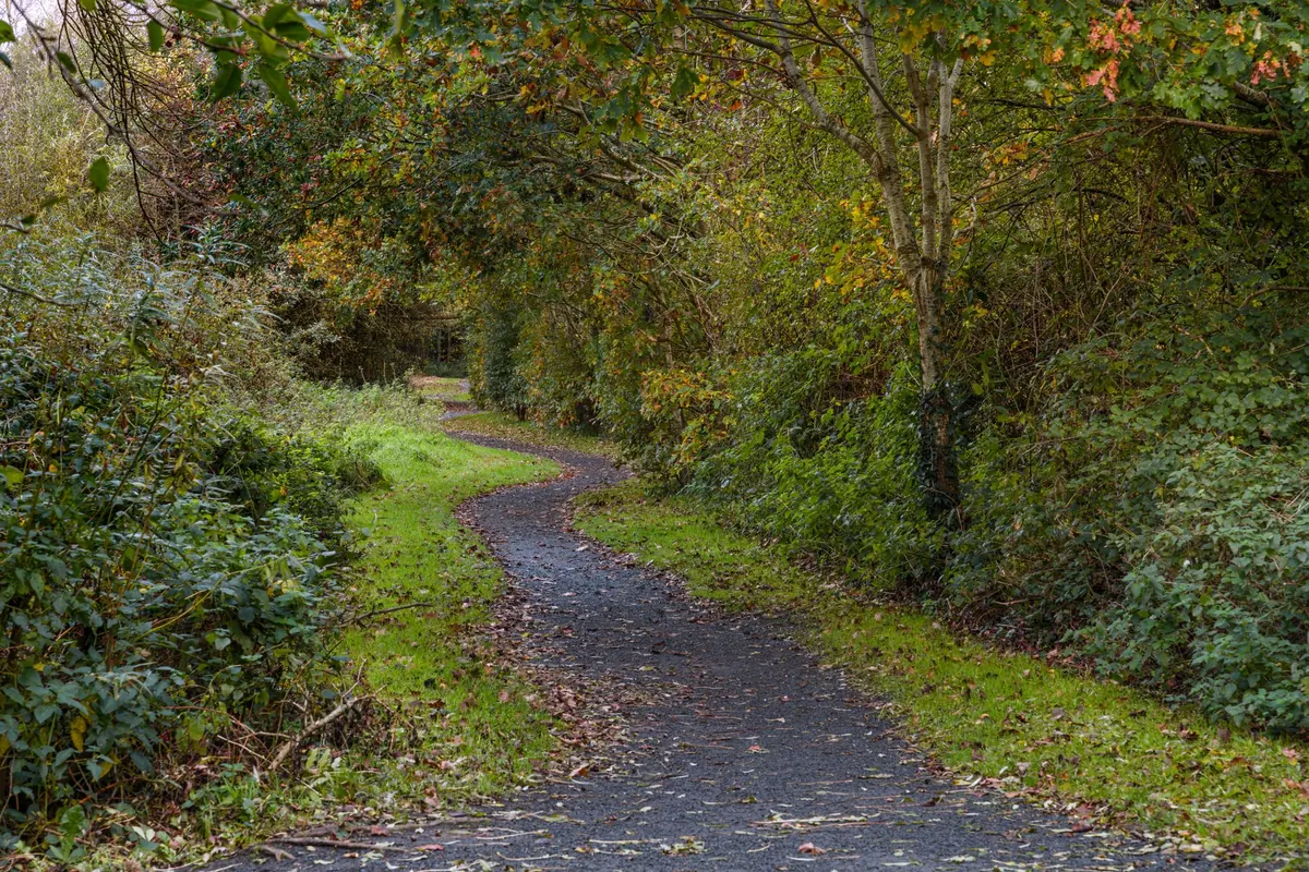 A Beginner's Guide to Walking the Wirral Way: Start Points, Stops, and Pitfalls